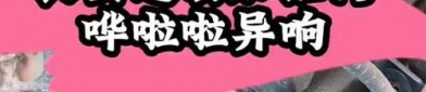 长安汽车获得发明专利授权：“一种液压悬置异响的检测方法及系统”