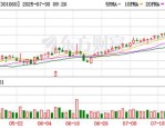 兰卫医学（301060）8月5日主力资金净买入34.53万元