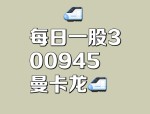 曼卡龙（300945）8月5日主力资金净卖出1391.50万元