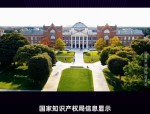 京东方Ａ获得发明专利授权：“一种显示面板、其制作方法及显示装置”