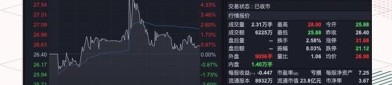 智翔金泰（688443）8月5日主力资金净卖出711.53万元