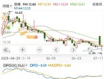 蓝黛科技（002765）8月5日主力资金净买入3695.19万元