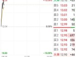 大全能源（688303）8月5日主力资金净卖出1010.04万元