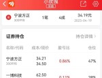 宁波方正（300998）8月5日主力资金净卖出1223.60万元
