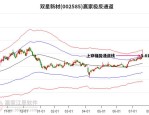 双星新材（002585）8月5日主力资金净买入1000.68万元