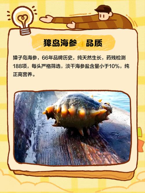 獐子岛新注册《基于高灵敏力反馈感知的柔性无损海参智能采捕模块控制系统V1.0》等4个项目的软件著作权