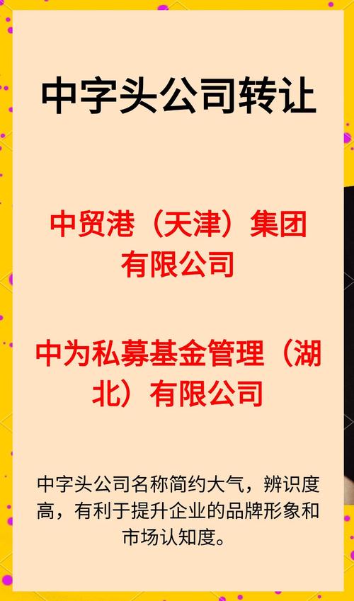 中金资本周智辉：S基金是私募股权基金的源头活水之一