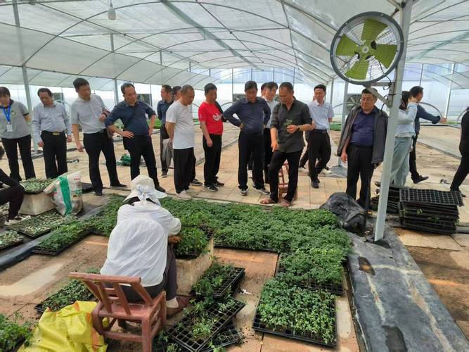 【机构调研记录】长城基金调研东威科技