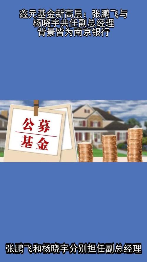 鑫元基金高管迎新：张鹏飞、杨晓宇出任副总经理，均来自南京银行
